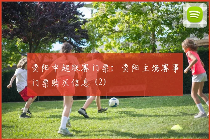 贵阳中超联赛门票：贵阳主场赛事门票购买信息 (2)