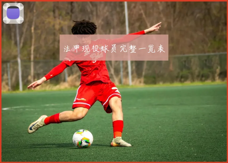 法甲现役球员完整一览表