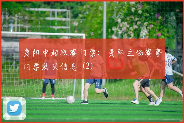 贵阳中超联赛门票：贵阳主场赛事门票购买信息 (2)