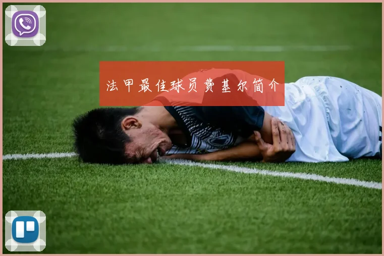 法甲最佳球员费基尔简介