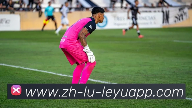 乐鱼体育发展历程